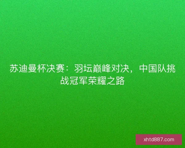 苏迪曼杯决赛：羽坛巅峰对决，中国队挑战冠军荣耀之路